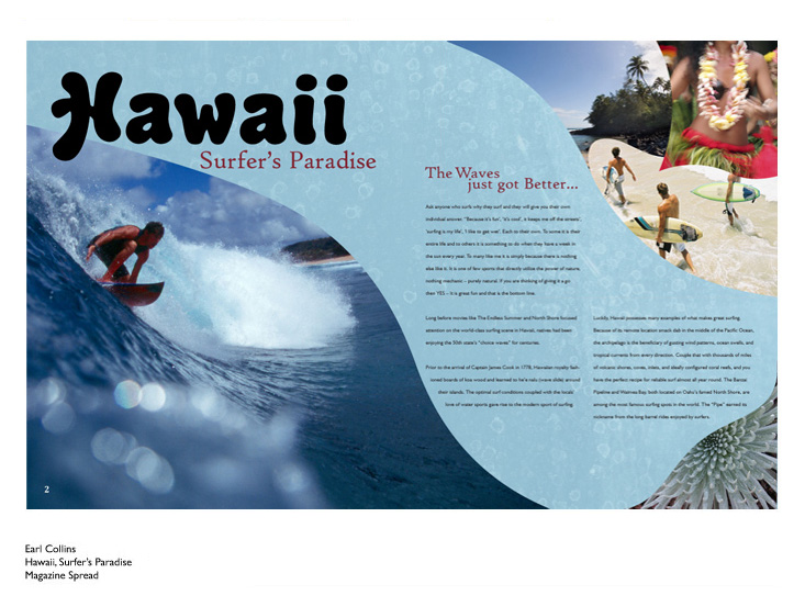 Surfer's Paradise - Graphic Design